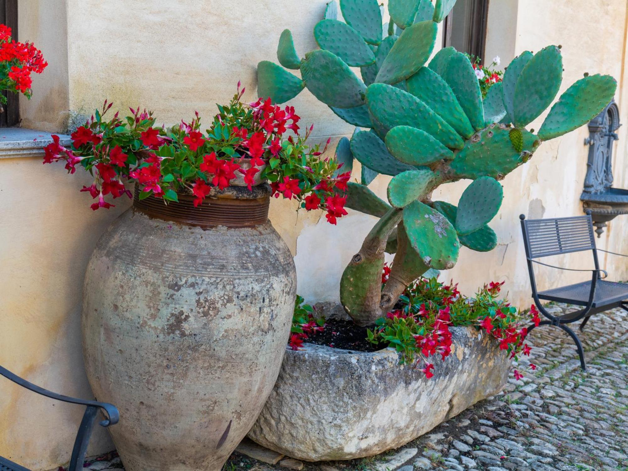 Agriturismo Baglio Fontana Buseto Palizzolo Esterno foto
